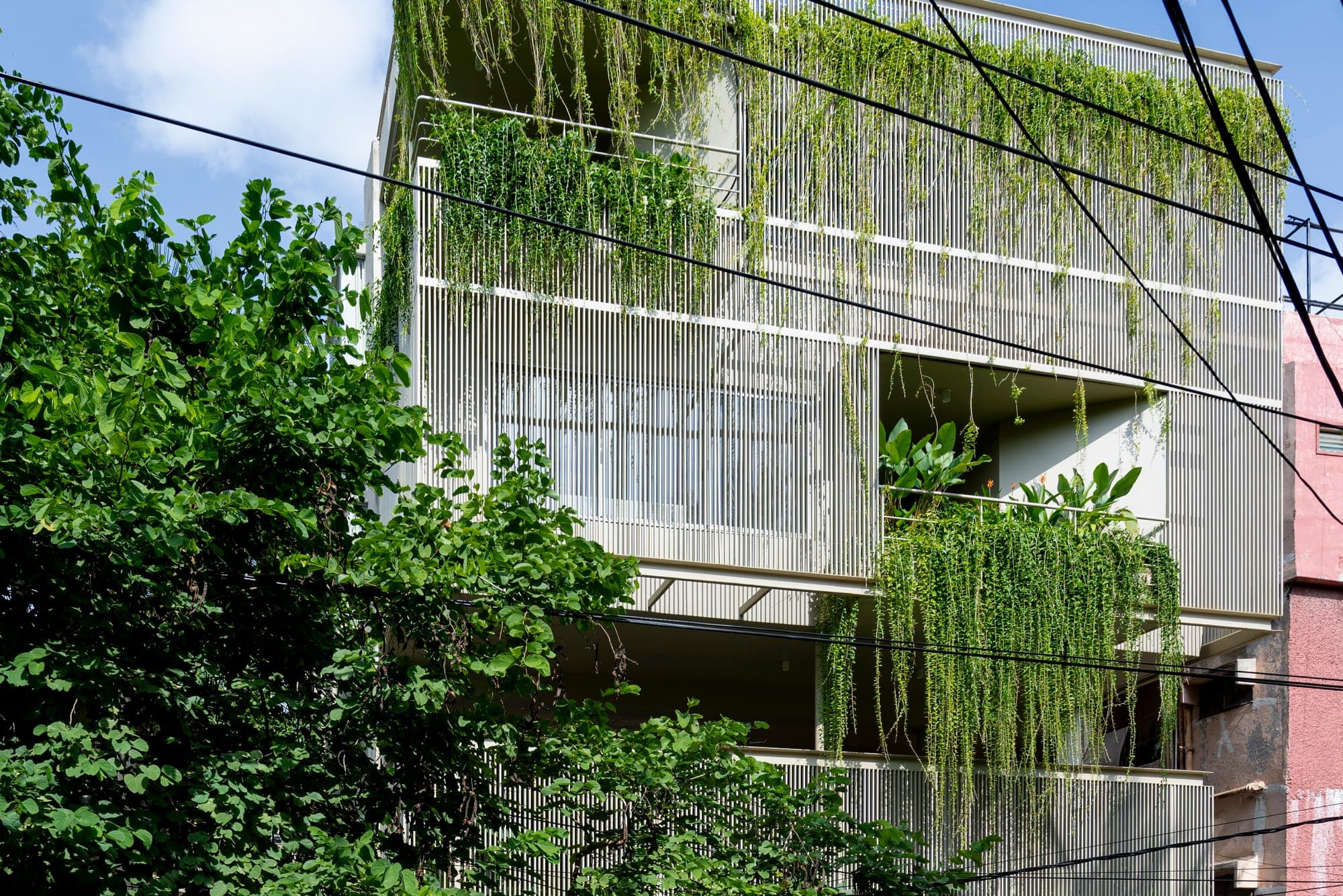 A Skylit Home In Hyderabad Where Levels Drift Through Foliage